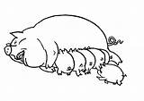 Ausmalbilder Varken Malvorlagen Cerdo Schwein Schweine Colorare Mewarnai Porc Malvorlage Babi Coloriages Animasi Bergerak Animierte Animals Animaatjes Maiali 1912 Colorier sketch template