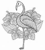 Zentangle Zum Flamingo Ausmalen Vogel Exotische Deavita Hibiskus sketch template
