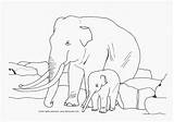 Coloring Pages Elephant Jumbo Printable Kids Animal Ausmalbilder Animals Popular sketch template