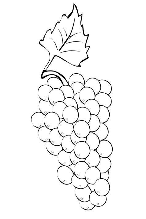coloring page bunch  grapes