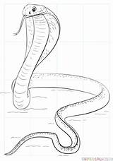 Cobra Supercoloring Lenda Pintar sketch template