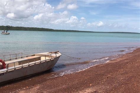 Northern Territory Police Investigate 32 Year Old Mans Death On Tiwi