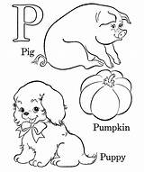 Coloring Kids Pages Abc Pig Pigs sketch template