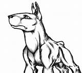 Bull Terrier Doodle sketch template