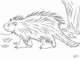 Porcupine Coloring Pages Cute Porcupines Printable Color Animals Wolf Realist Drawing Colouring Drawings Disimpan Dari sketch template