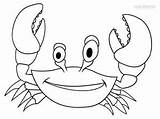 Crab Malvorlagen Ausmalbilder Krabbe Krabben Kinder Cool2bkids sketch template