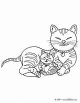 Kitten Cat Coloring Pages Color Kittens Animal Cats Coloriage Chatons Chats Drawing Animals Print Online sketch template