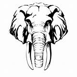 Elephant Head Drawing Wall Clipart Coloring Face Animal Outline Clip Indian Sticker Elephants Decal Front Cartoon Designs Animals Line Stickers sketch template