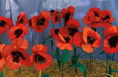 paper poppies laura ashley