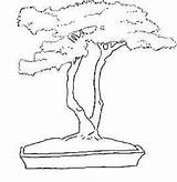 Bonsai Coloring Tree Book Drawing Designlooter Drawings 276px 67kb Getdrawings Background Details sketch template