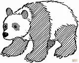 Panda Giant Coloring Pages Outline Bear Drawing Printable Adults Pandas Kids Color Drawings Bears Cartoon Clipartmag Cute Line Popular Animal sketch template