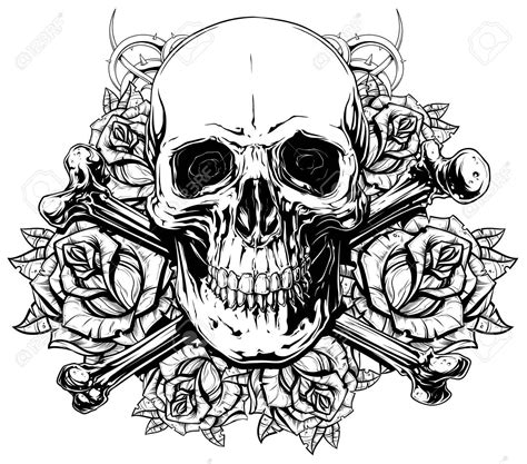 vector graphic human skull  crossed bones  roses skull