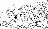 Igel Ausmalbilder Ausmalbild Malvorlagen Herbst Egel Malvorlage Dieren Kostenlos Arici Ausdrucken Coloriage Ricci Colorat Animaatjes Animierte Boucle Ausmalen Herisson Coloriages sketch template