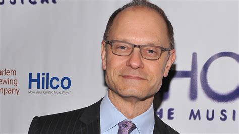 David Hyde Pierce Joins The Good Wife In Recurring Role