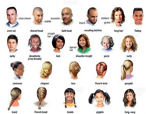 hairstyles  english describe types  hair  english