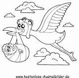 Storch Ausmalbild Ausmalen Voegel Mit Auszudrucken Klicke Dein Vögel Kostenlose sketch template