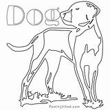 Coloring Dog Cattle Pages Australian Coonhound Redbone Getcolorings Getdrawings Template sketch template
