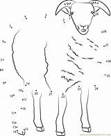 Connect Sheep Learningprintable Connectthedots101 Worksheets Worksheet sketch template