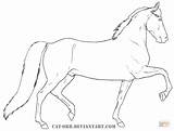 Coloring Morgan Pages Horse Drawing Horses Printable Color sketch template