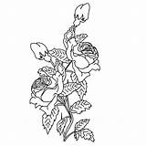 Rosen Blumen Fensterbilder Ranken Vorlage Ausmalen Kleeblatt Blume Blumenstrauss sketch template