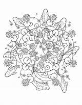 Koi Mandala Pond Organic Ink Drawing sketch template