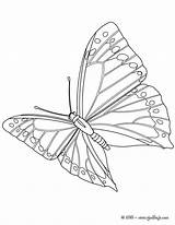 Papillon Mariposa Monarca Papillons Borboleta Voando Vole Mariposas Hellokids Borboletas Colorier sketch template