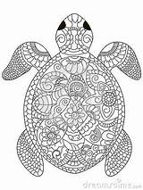 Pages Turtle Coloring Colouring Adults Adult Mandala Sea Printable Turtles Book Books Sheets Mandalas Vector Google Es Au sketch template