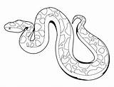 Rattlesnake Getdrawings Diamondback Drawing Coloring Pages sketch template