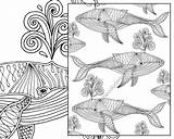 Coloring Adult Nautical Whale sketch template