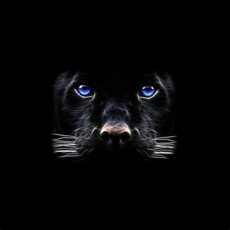pantera negro fondos animados descarga apk gratis
