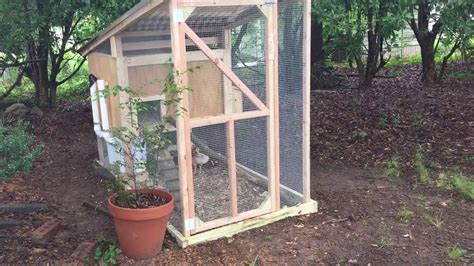 backyard chickens diy  easy  clean worry  chicken coop youtube