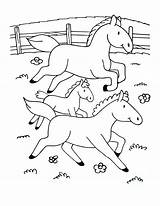 Coloring Farm Horses Kids Horse Pages Simple Color Animals Drawing Children Printable Adult Justcolor Nggallery Print Animal sketch template