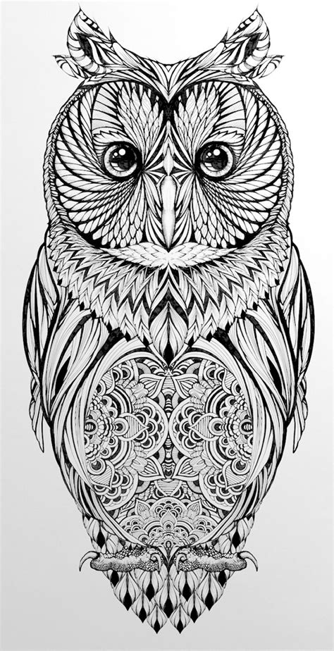 pin   marina  coloring pages owls drawing owl tattoo design
