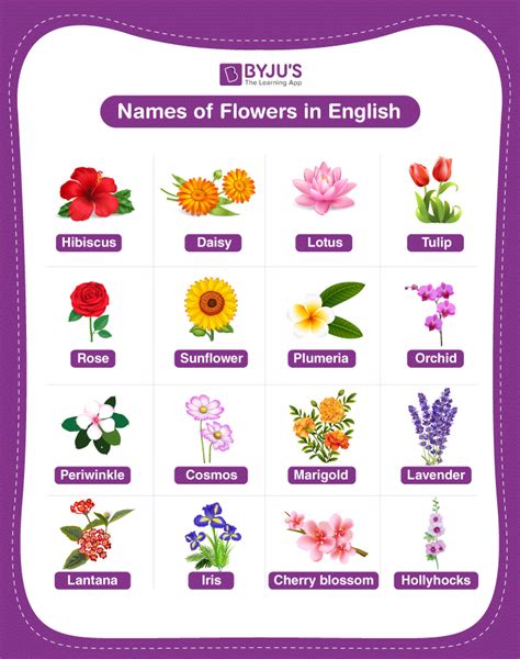 names  flowers explore   flowers     world