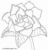 Gardenia Gardenias Sketch Recognize sketch template