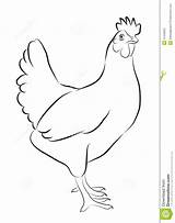 French Drawing Hen Getdrawings sketch template