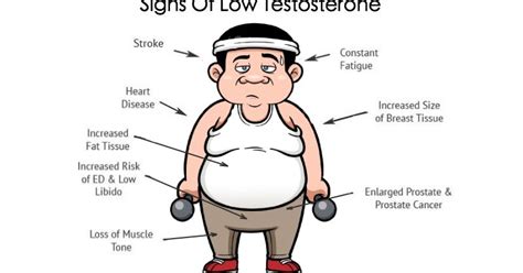 Are Low Testosterone Levels Dragging You Down Bodydulding