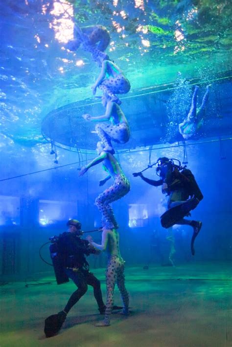 aquatic show  las vegas    deals cirque du soleil