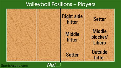 volleyball court player positions