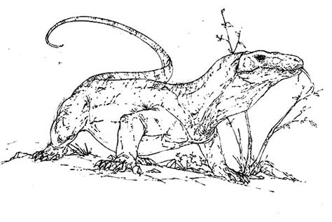scary komodo dragon coloring pages  print  coloring
