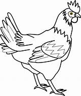 Coloring Chicken Animal Sketch Printable Farm Book Pages Simple Clipart sketch template