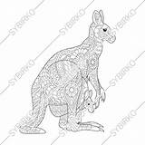 Wallaby Kangaroo sketch template