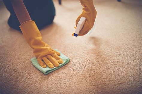 remove  urine smell   air hunker   clean carpet
