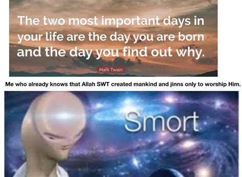 surat al dhariyat verse   allah   create jinn  humans