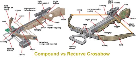crossbow reviews  top rated   money