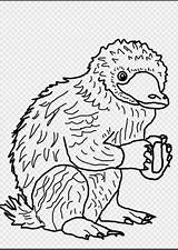 Niffler Fantastic Beasts Coloring Tierwesen Phantastische Creature Hogwarts Wikihow Nifflers Step sketch template