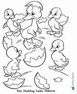 Ugly Duckling Coloring Pages Printable Sheet Color Below Click sketch template