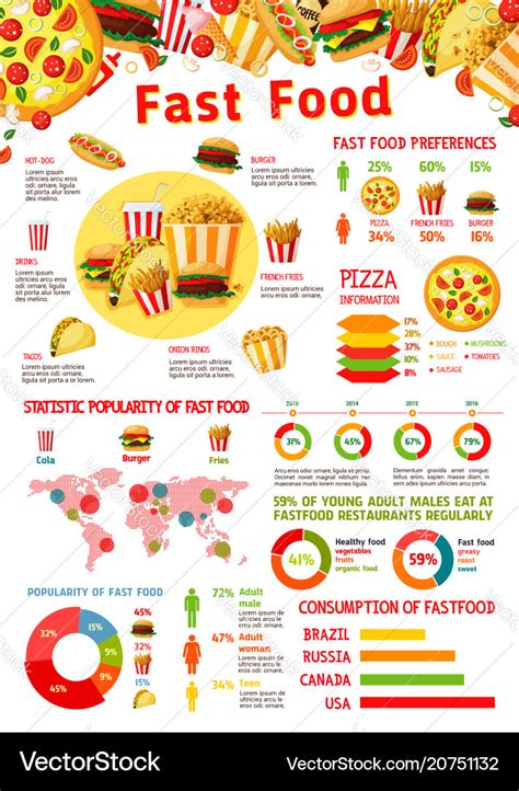 fast food infographic  chart  junk meal vector image