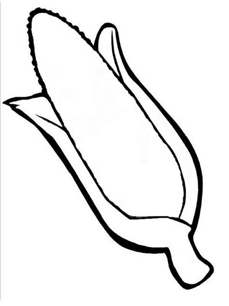 corn  outline coloring page corn   coloring pages indian corn