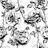 Witte Bloemen Naadloze Achtergrond Floral Naadloos Patroon Trekken Verse Pastinaak Botanische sketch template